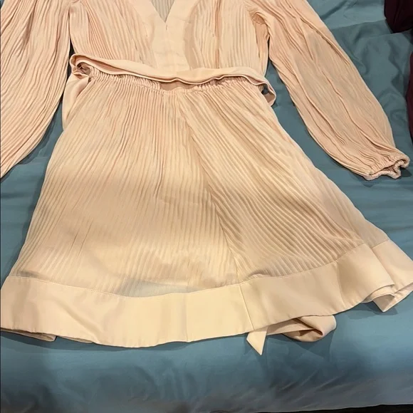 Milly Blush Pleated V-Neck Dress - Picture 4 of 5